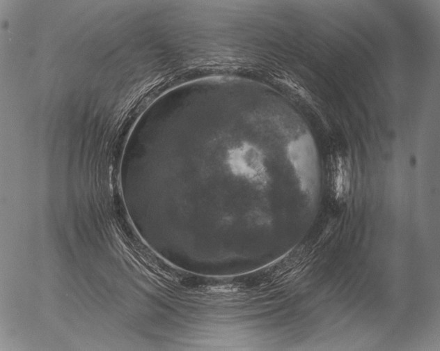 X0000056000692200509021704