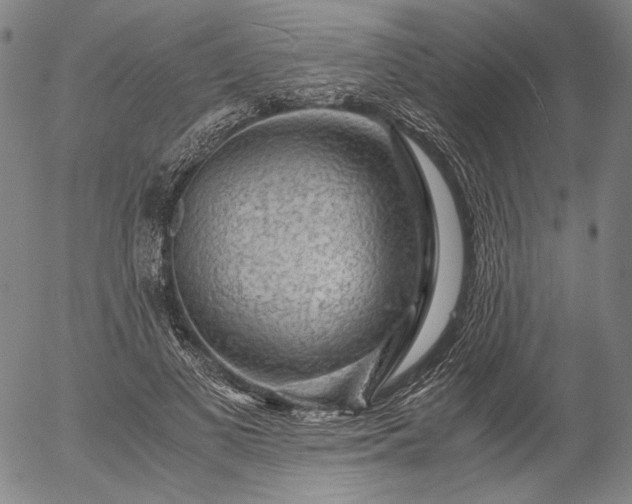 X0000056000693200509021704