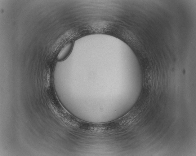 X0000056000694200509021704