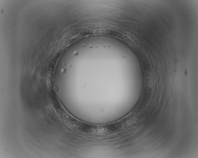 X0000056000695200509021704