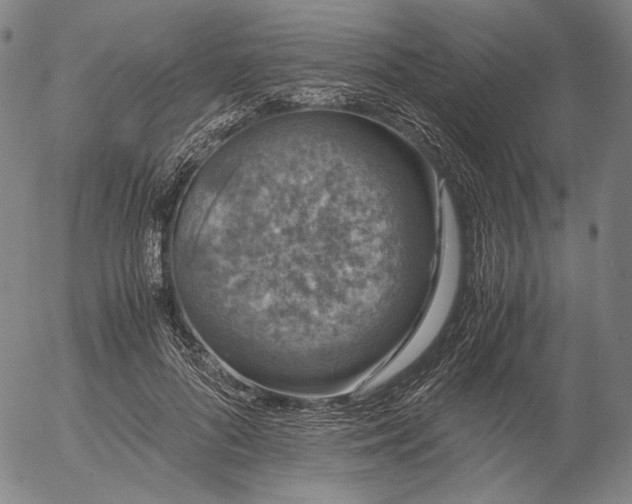 X0000056000696200509021704