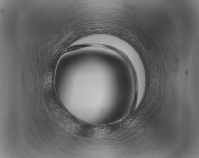 X0000056000697200509021704