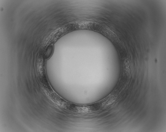 X0000056000698200509021704