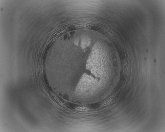 X0000056000699200509021704