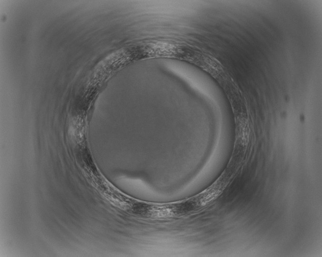 X0000056000701200509021704