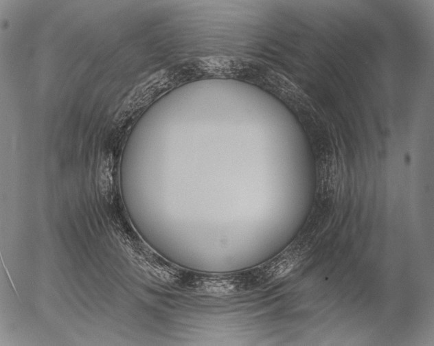 X0000056000702200509021704