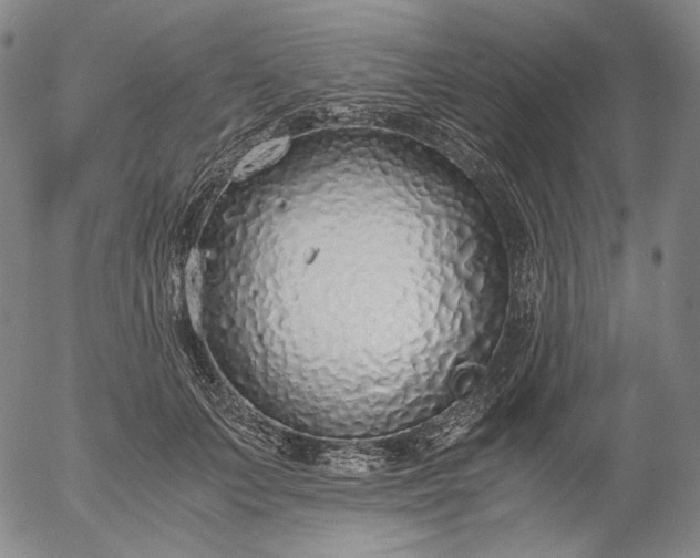 X0000056000703200509021704