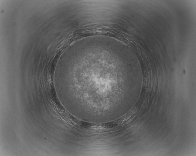 X0000056000704200509021704