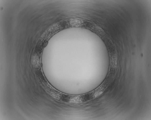 X0000056000705200509021704