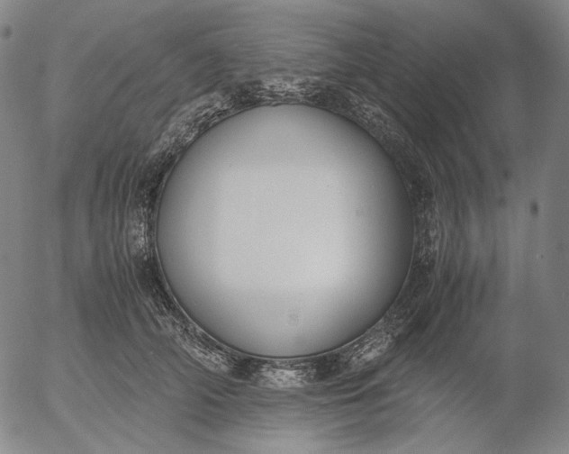 X0000056000706200509021704