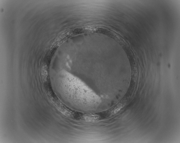 X0000056000707200509021704