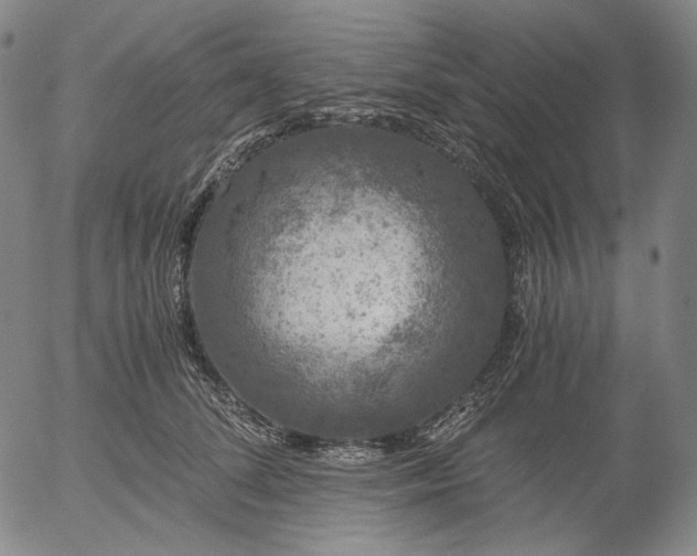 X0000056000708200509021704