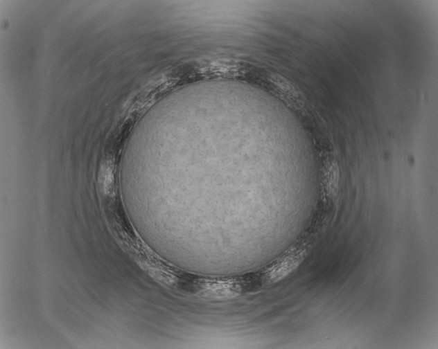 X0000056000709200509021704