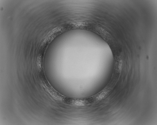 X0000056000710200509021704