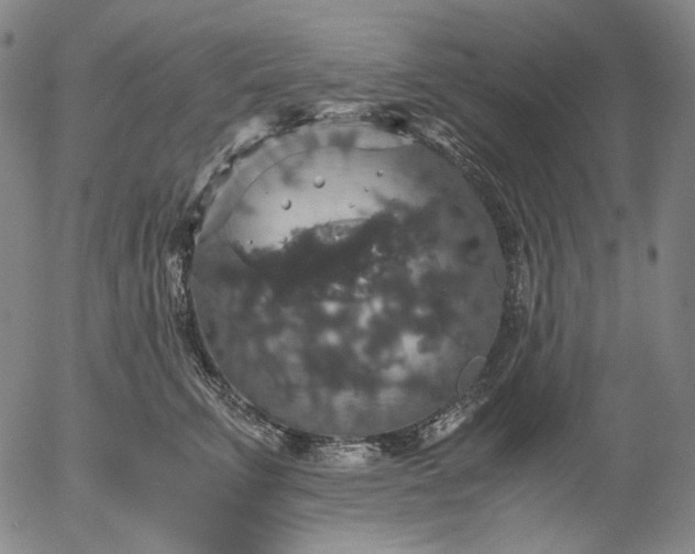 X0000056000711200509021704