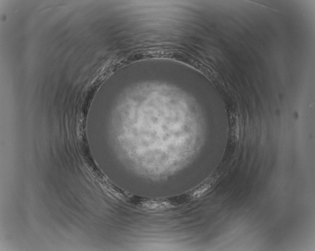 X0000056000712200509021704