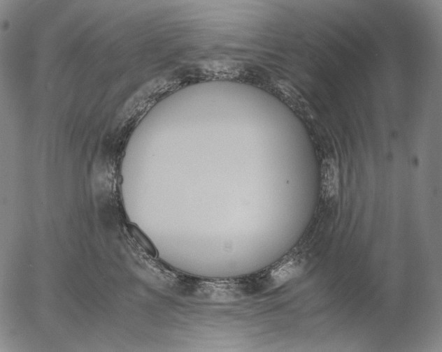 X0000056000713200509021704