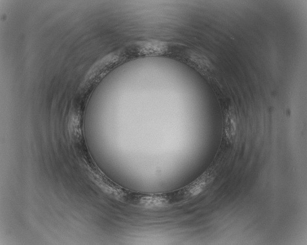 X0000056000714200509021704