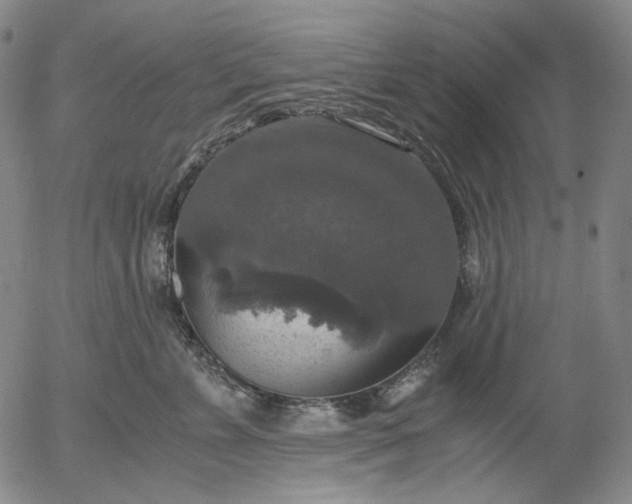 X0000056000715200509021704