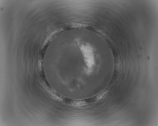 X0000056000716200509021704