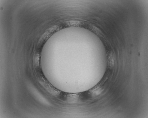 X0000056000717200509021704