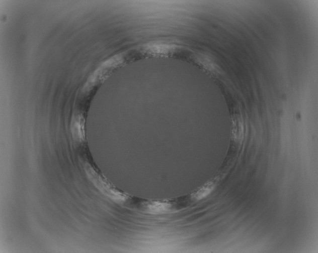 X0000056000718200509021704