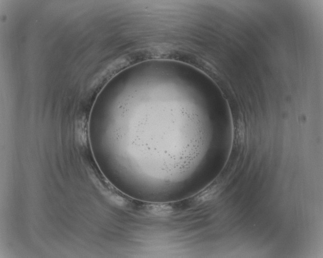 X0000056000719200509021704