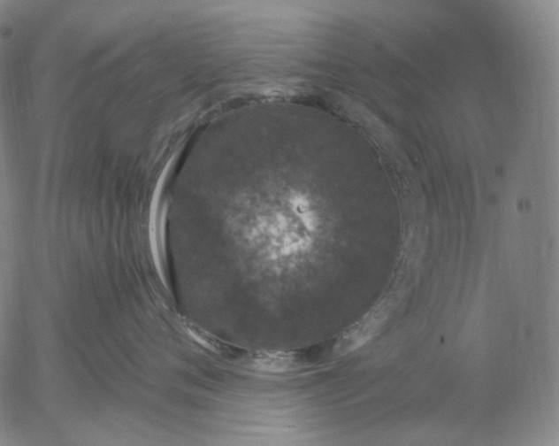 X0000056000720200509021704