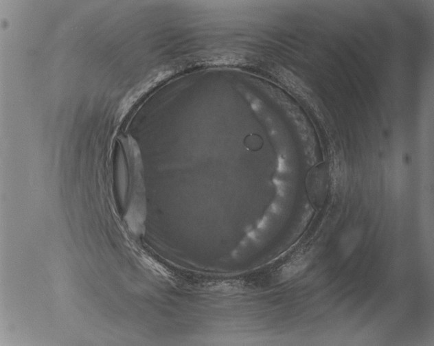 X0000056000721200509021703