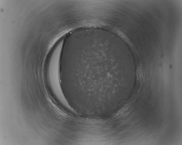 X0000056000722200509021703