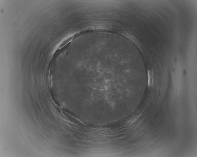 X0000056000723200509021703