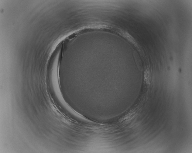 X0000056000724200509021703