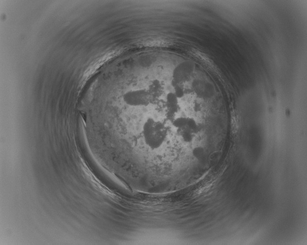 X0000056000725200509021703