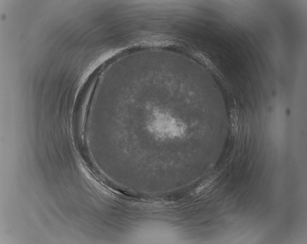 X0000056000726200509021703