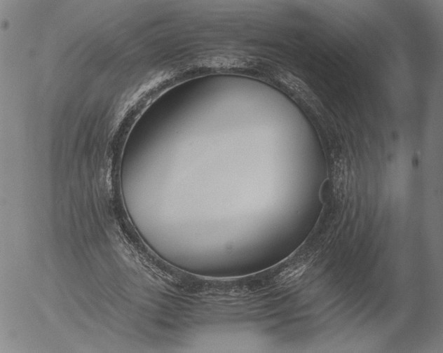 X0000056000727200509021703