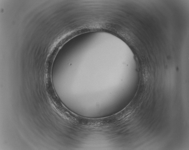 X0000056000728200509021703