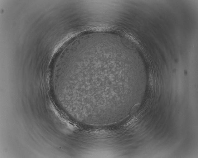 X0000056000730200509021703