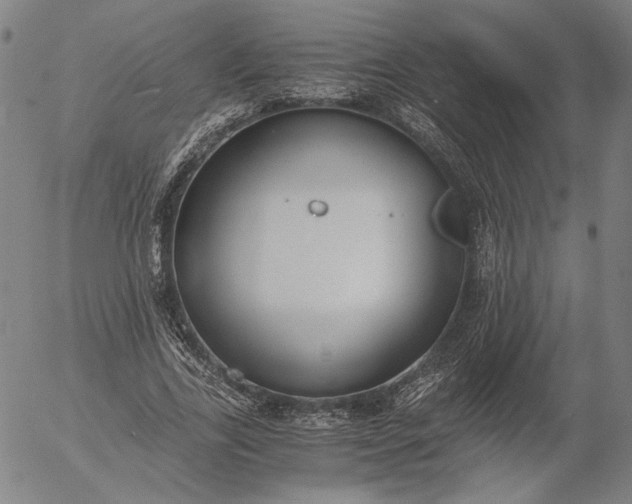 X0000056000731200509021703