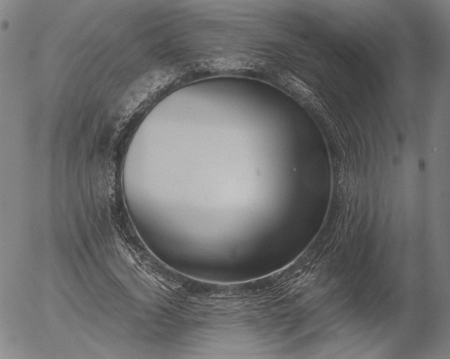 X0000056000732200509021703