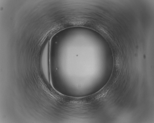 X0000056000733200509021703