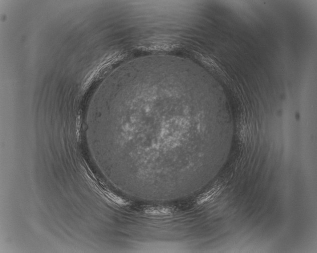 X0000056000735200509021703