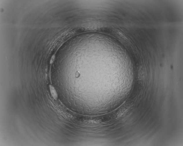 X0000056000737200509021703