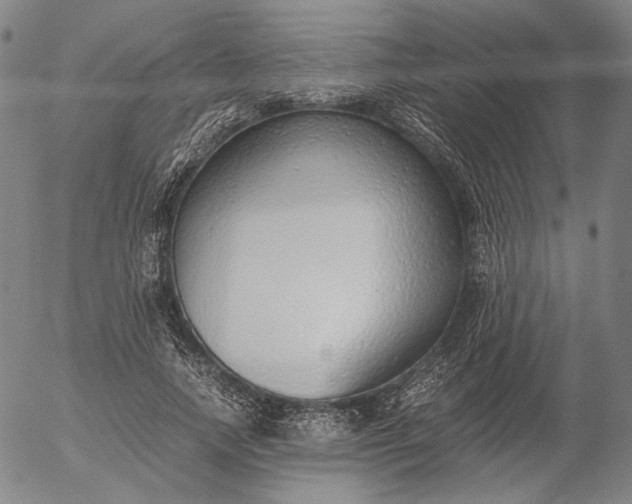 X0000056000738200509021703