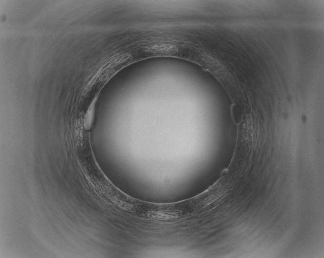 X0000056000739200509021703