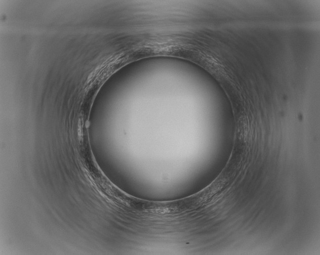 X0000056000740200509021703