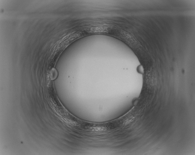 X0000056000741200509021703