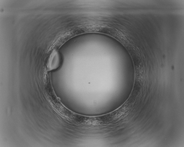 X0000056000742200509021703