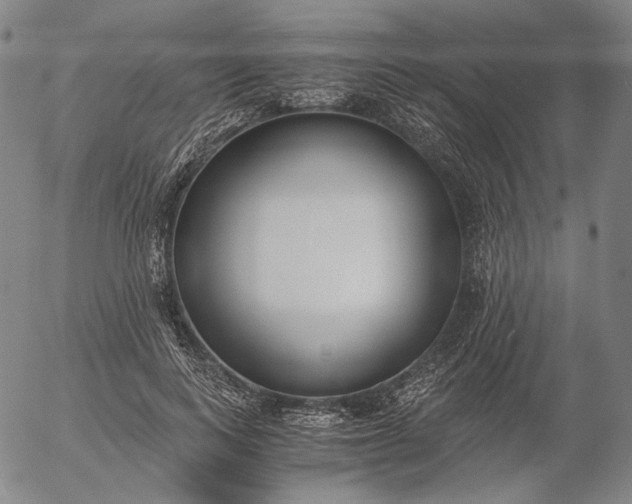 X0000056000743200509021703