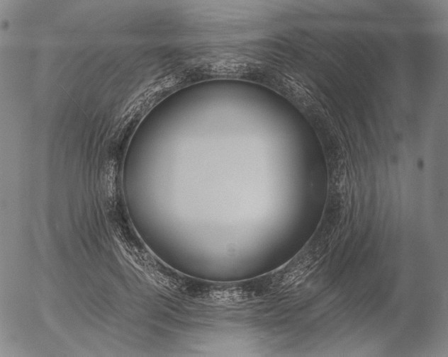 X0000056000744200509021703