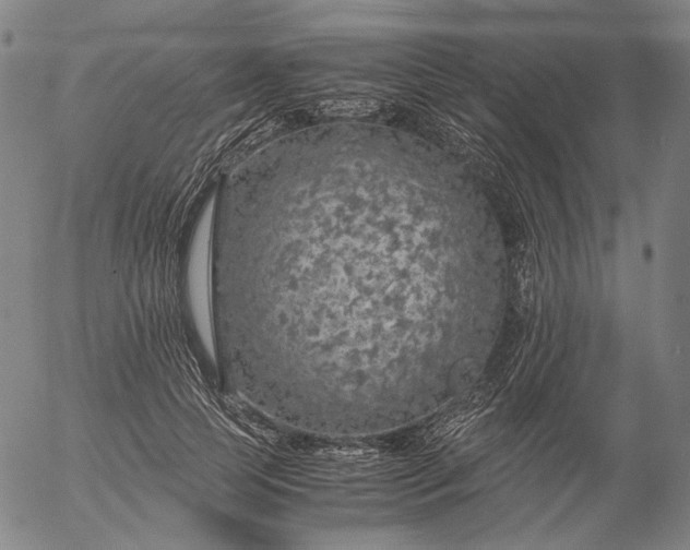 X0000056000745200509021703